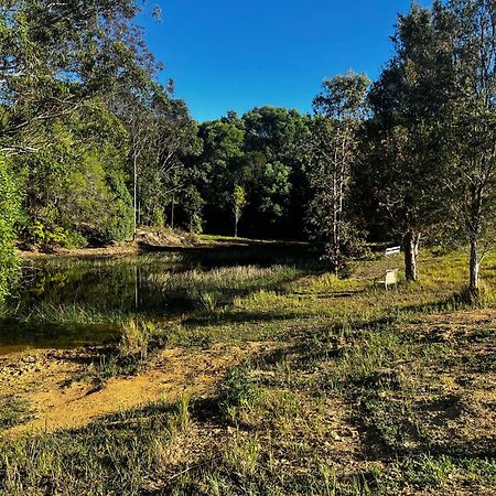 Вилла Noosa Pomona Retreat Саншайн-Кост Экстерьер фото