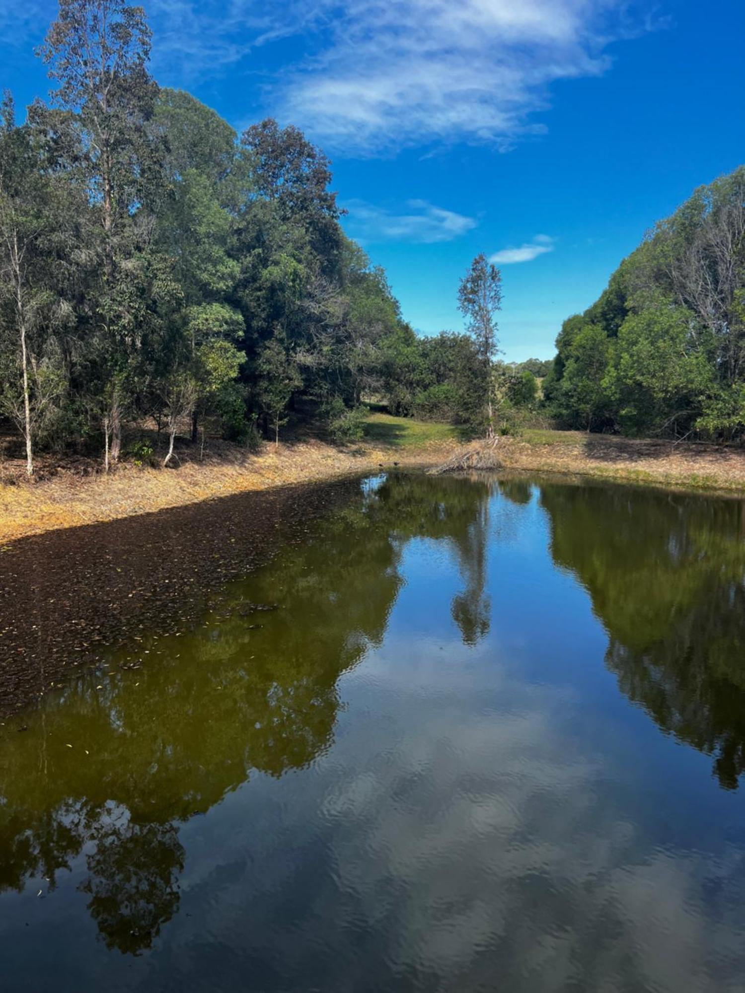 Вилла Noosa Pomona Retreat Саншайн-Кост Экстерьер фото