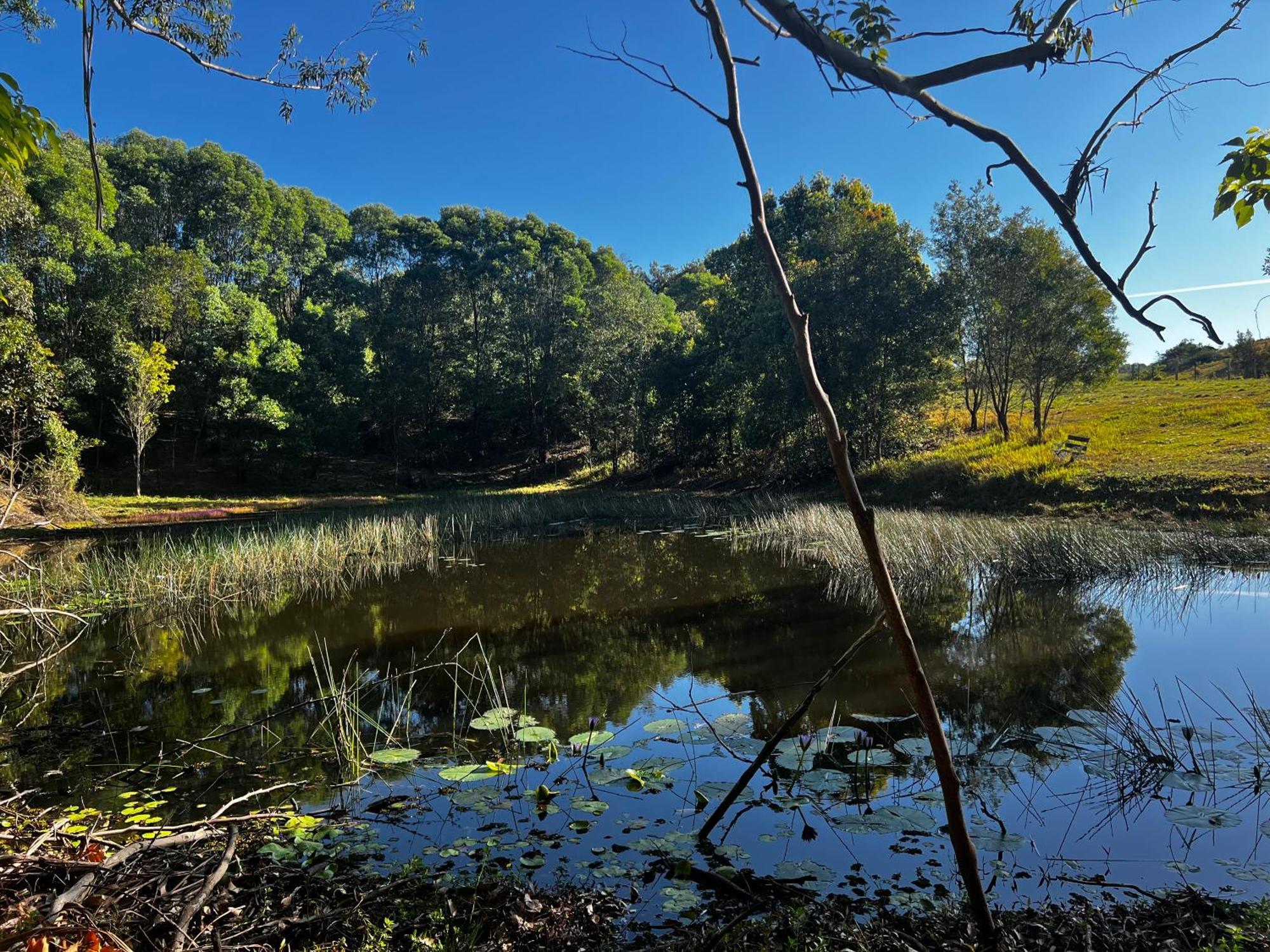 Вилла Noosa Pomona Retreat Саншайн-Кост Экстерьер фото